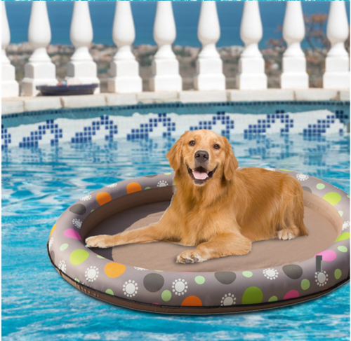 Piscina Flutuante para Cães