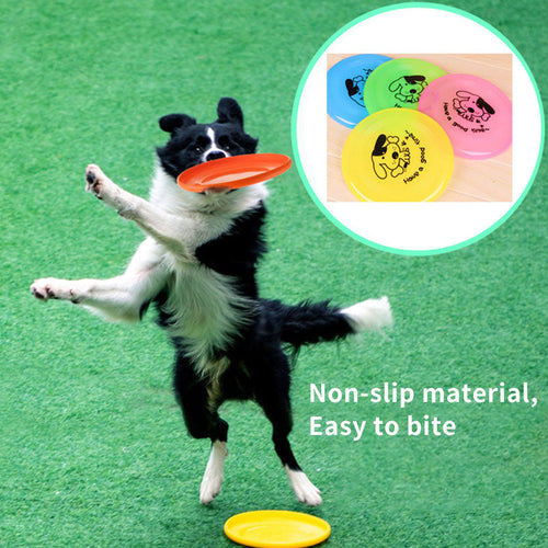 Brinquedo Disco Voador para Cães e Gatos
